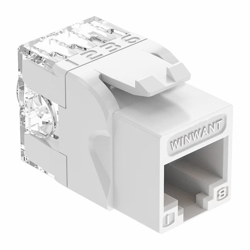 news-800-800 news-800-800